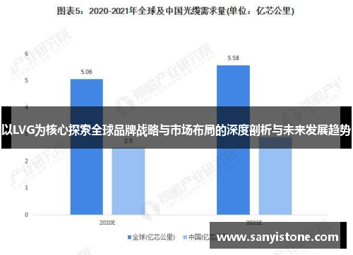 以LVG为核心探索全球品牌战略与市场布局的深度剖析与未来发展趋势